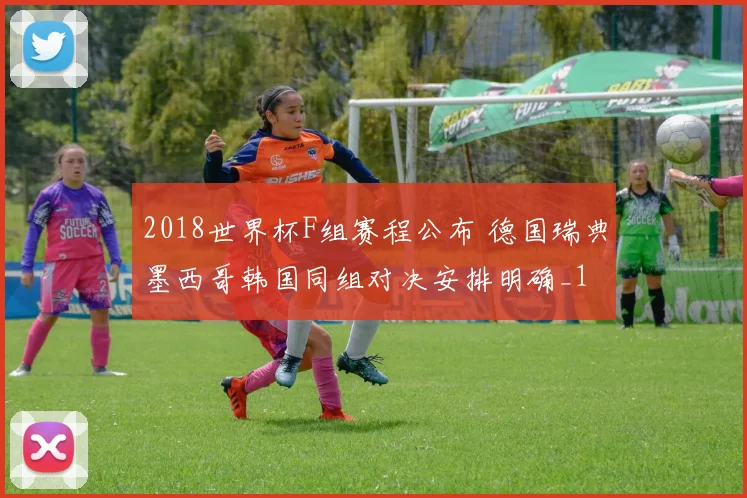 2018世界杯F组赛程公布 德国瑞典墨西哥韩国同组对决安排明确_1