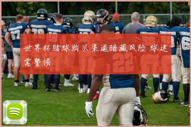 世界杯赌球购买渠道暗藏风险 球迷需警惕