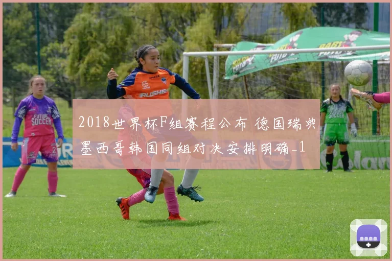 2018世界杯F组赛程公布 德国瑞典墨西哥韩国同组对决安排明确_1