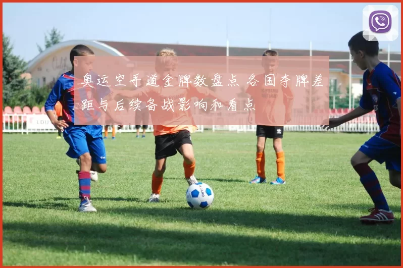 奥运空手道金牌数盘点 各国夺牌差距与后续备战影响和看点